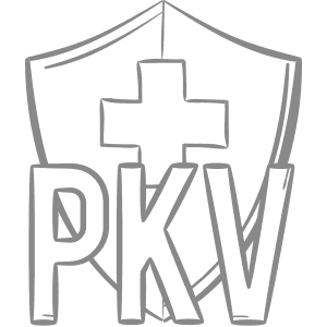 Icon PKV Versicherung