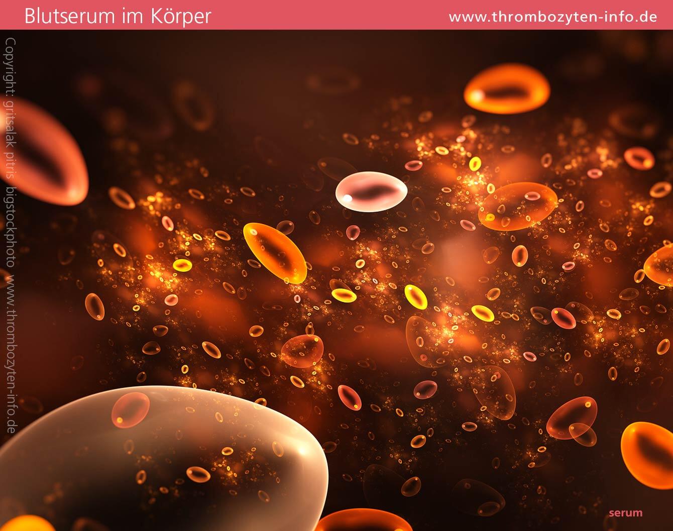 Blutserum Blutzellen