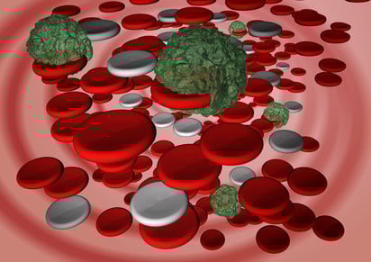 Aufgaben Thrombozyten