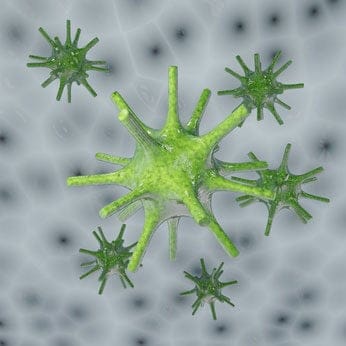 Thrombozytenrezeptoren