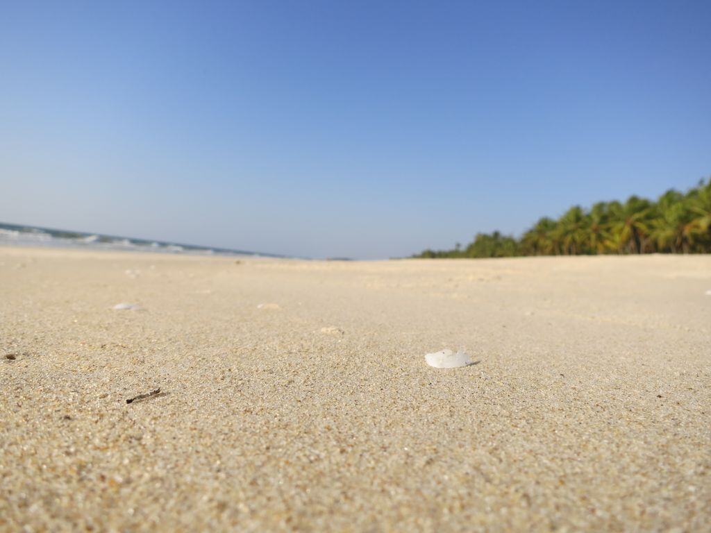 hCgNYkDimQLRLIzTDG9emPvQocW5OenG5PKtPrZi28U