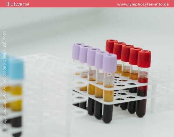 Wann sind die Lymphozyten erhöht?