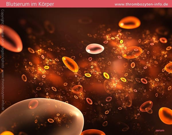 Thrombozyten bei Diabetes