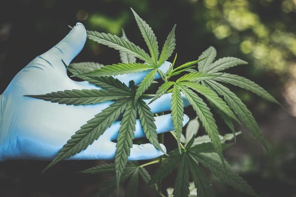 Tetrahydrocannabinol (THC)