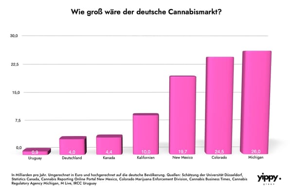 Milliardenmarkt: Potenzial der Cannabis Legalisierung in Deutschland