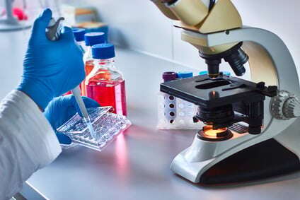Magnesiummangel Diagnose und Untersuchungen